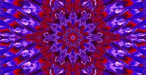 Inner Red Daisy